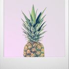 Ananas im Polaroid