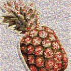 Ananas mosaique