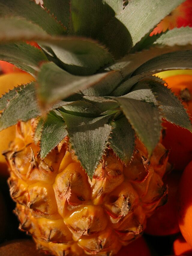 Ananas vor Zubereitung