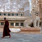 Ananda Patho Temple,Bagan:giovane monaco buddhista