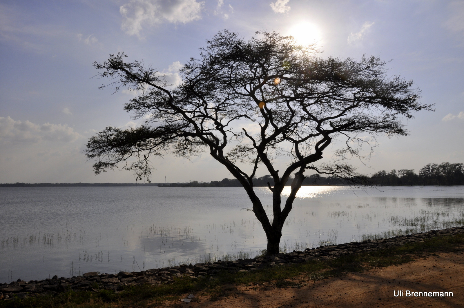 Anaradhnapura - Tank