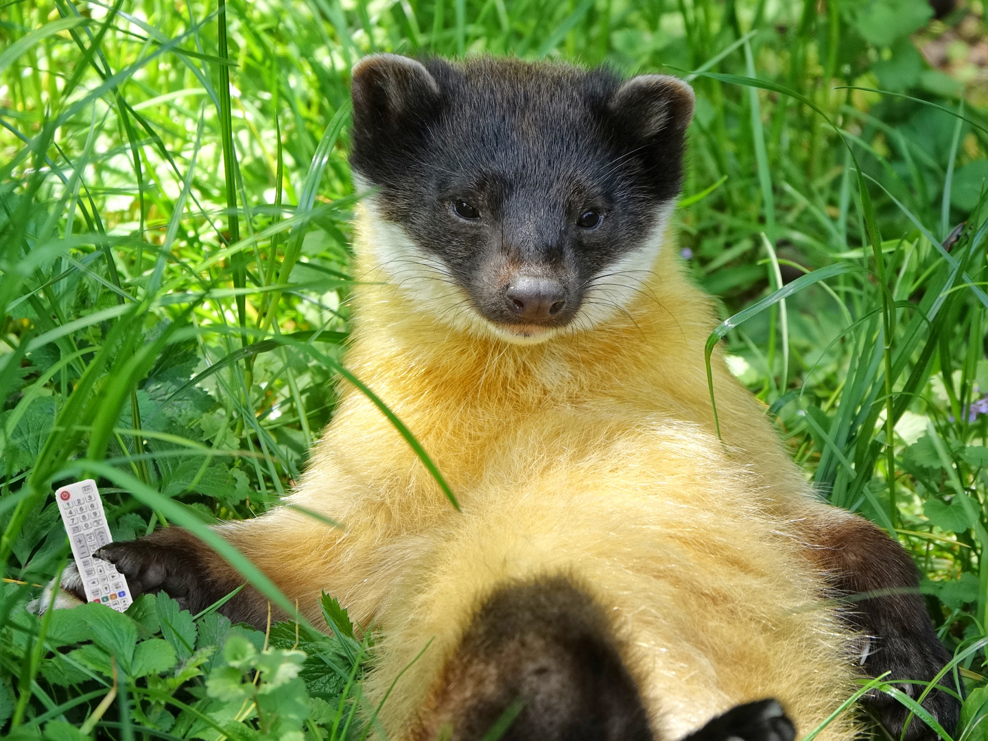 Anatevka beim Chillen