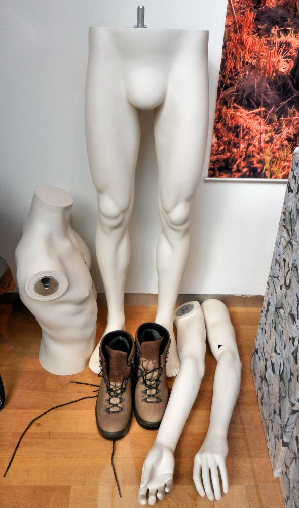 Anatomie im Schaufenster