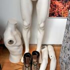 Anatomie im Schaufenster