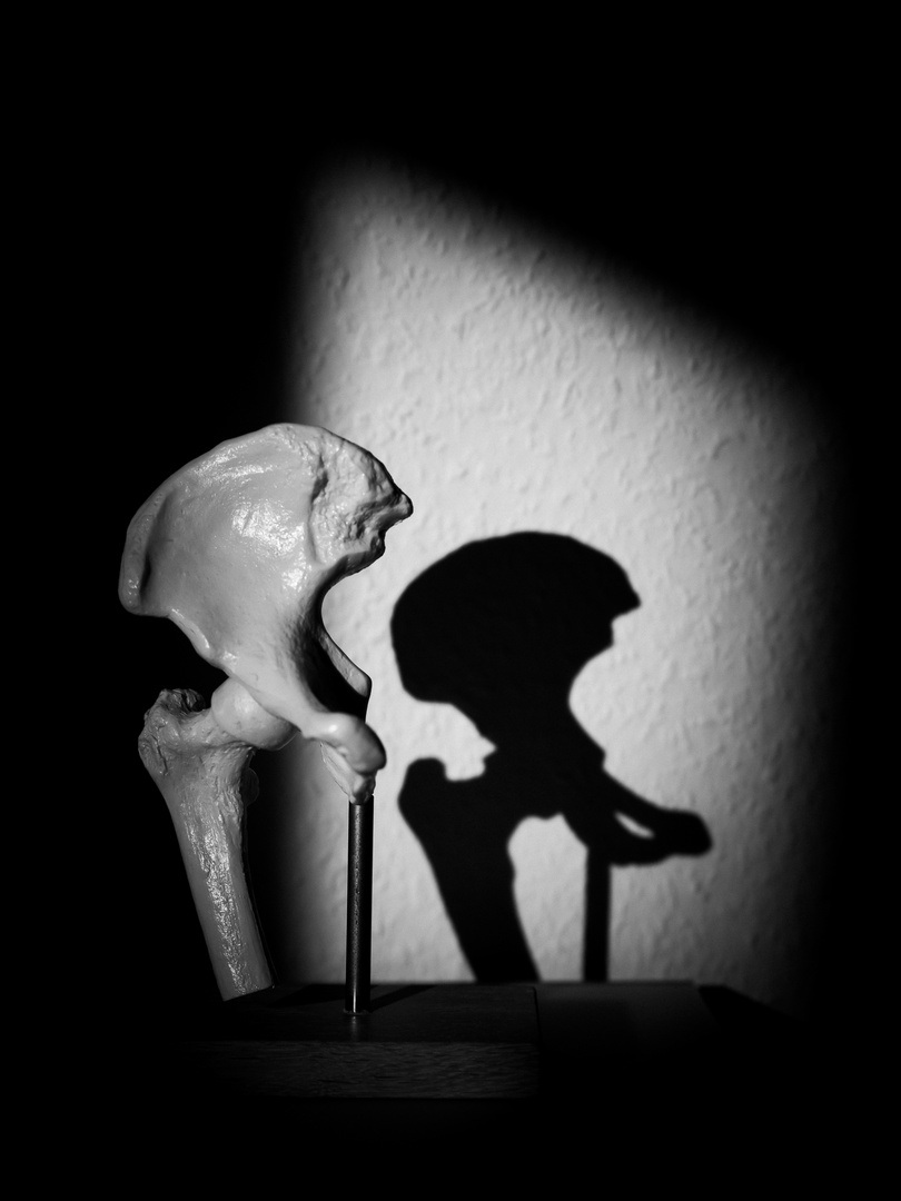 anatomische Silhouette 1