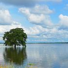 Anawilundawa Wetlands