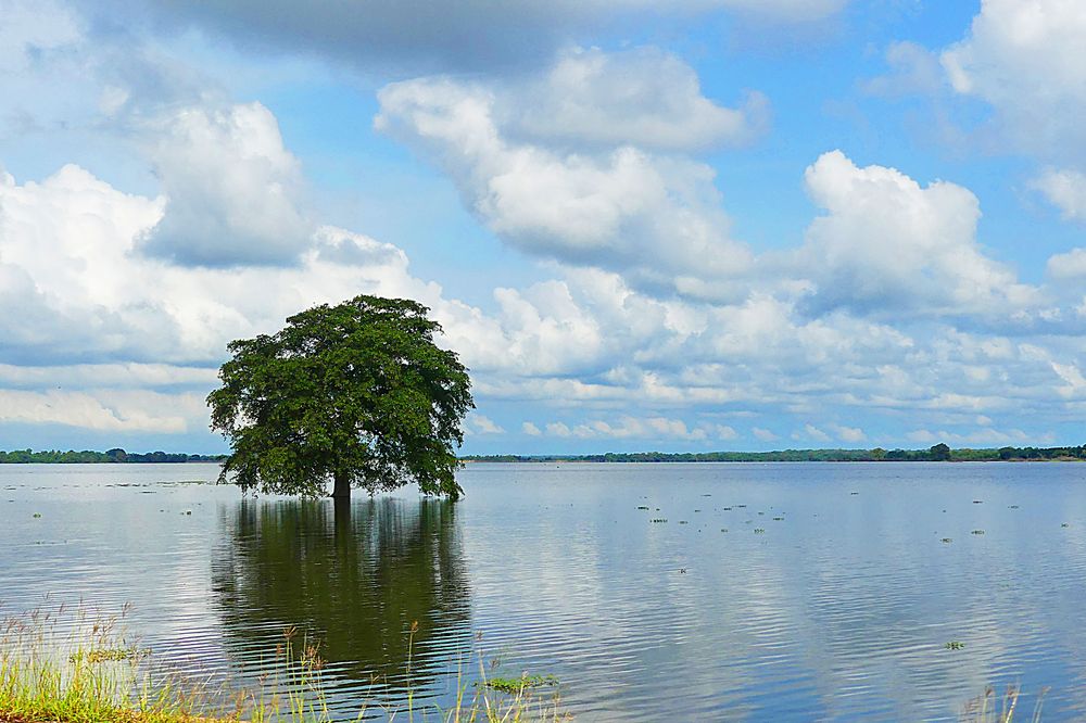 Anawilundawa Wetlands