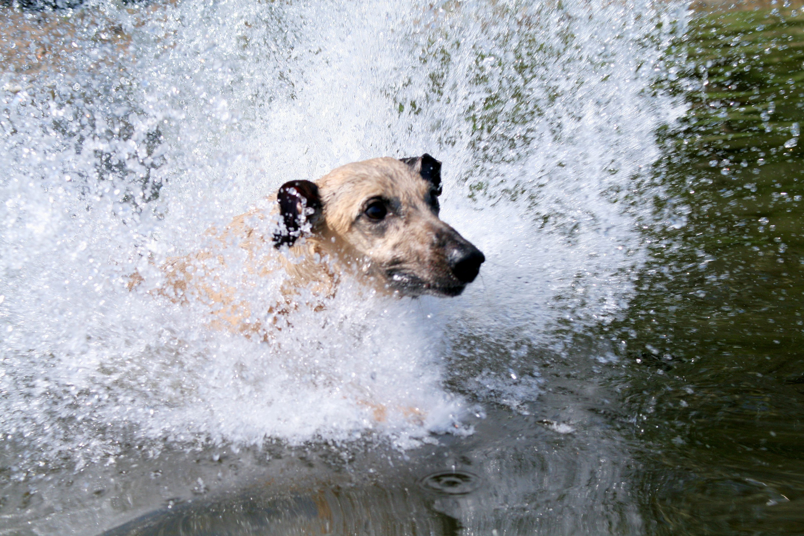 Anbaden im April