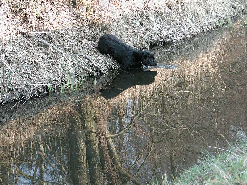 Anbaden im März ......1.Versuch......