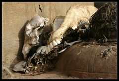 ... Ancestral Shrine, Tongo Hills, Ghana ...