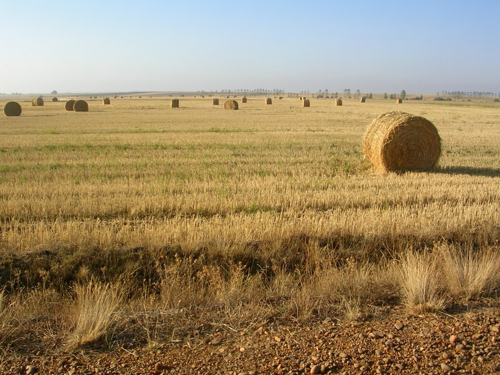 Ancha es Castilla