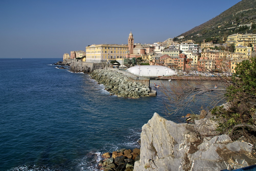 Anche a Nervi c'è una balena bianca.