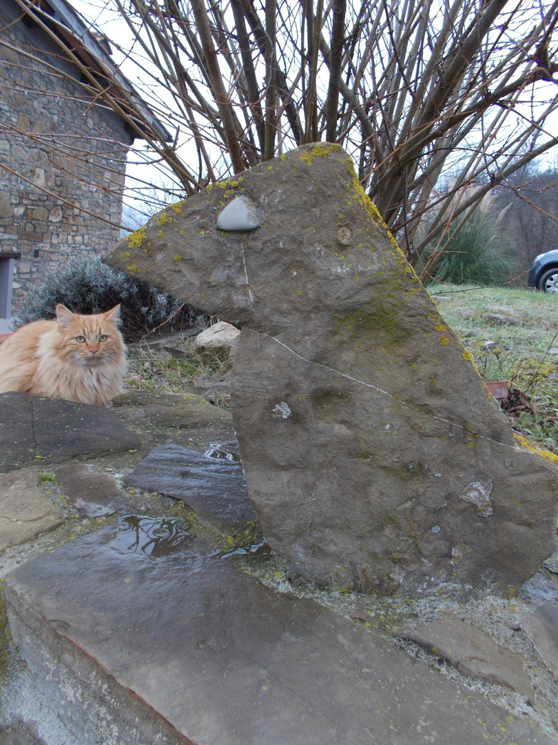 anche i gatti amano le sculture