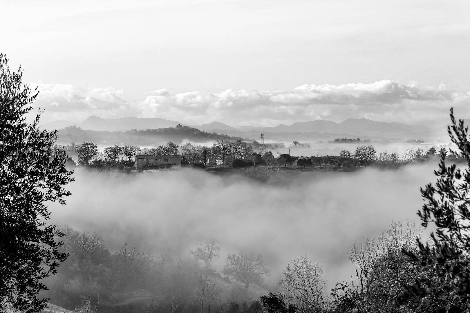 Anche la nebbia ha un suo fascino!