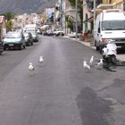 anche loro si parcheggiano nella strada