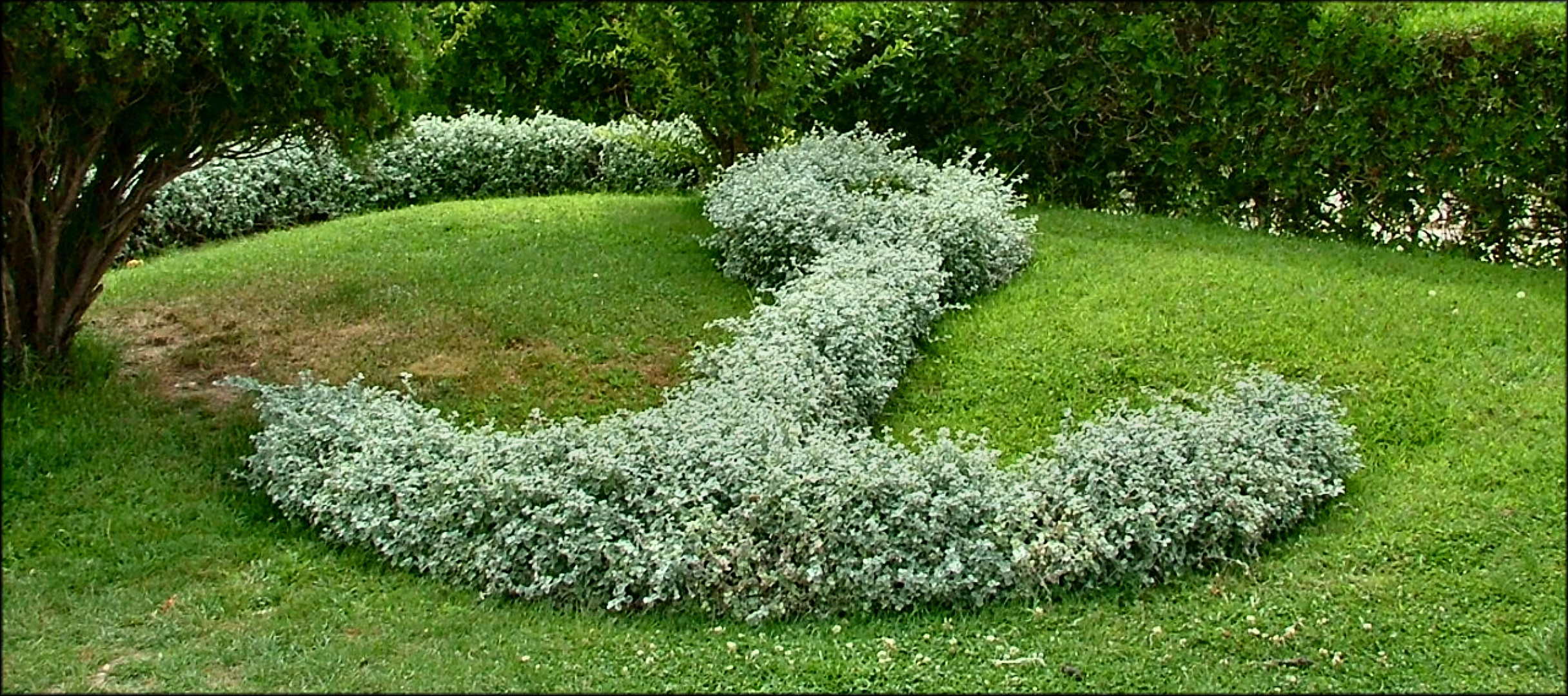 Anchor in the garden 