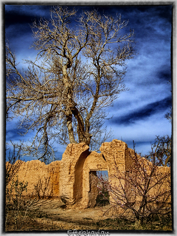 ancien jardin