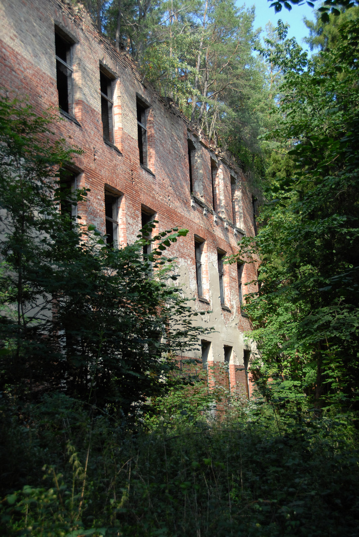 Ancien sanatorium008