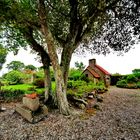 Ancienne ferme,Yvetot-Bocage, Normandie