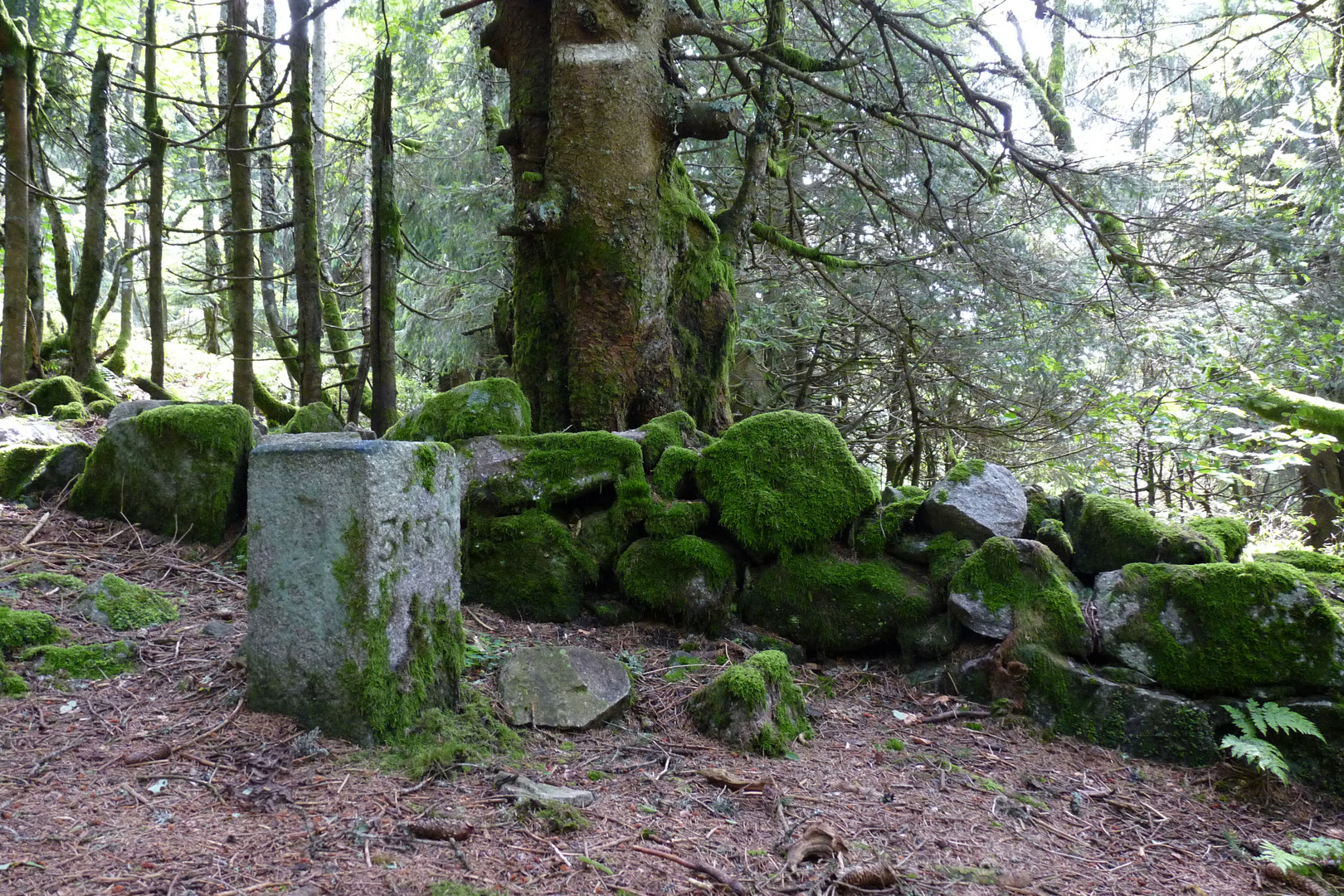 Ancienne frontière franco-allemande - Vosges