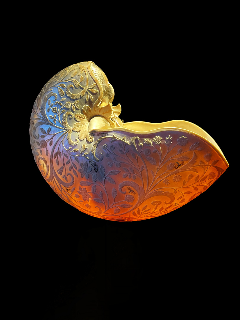 Ancient carved Nautilus - Gotha 1760