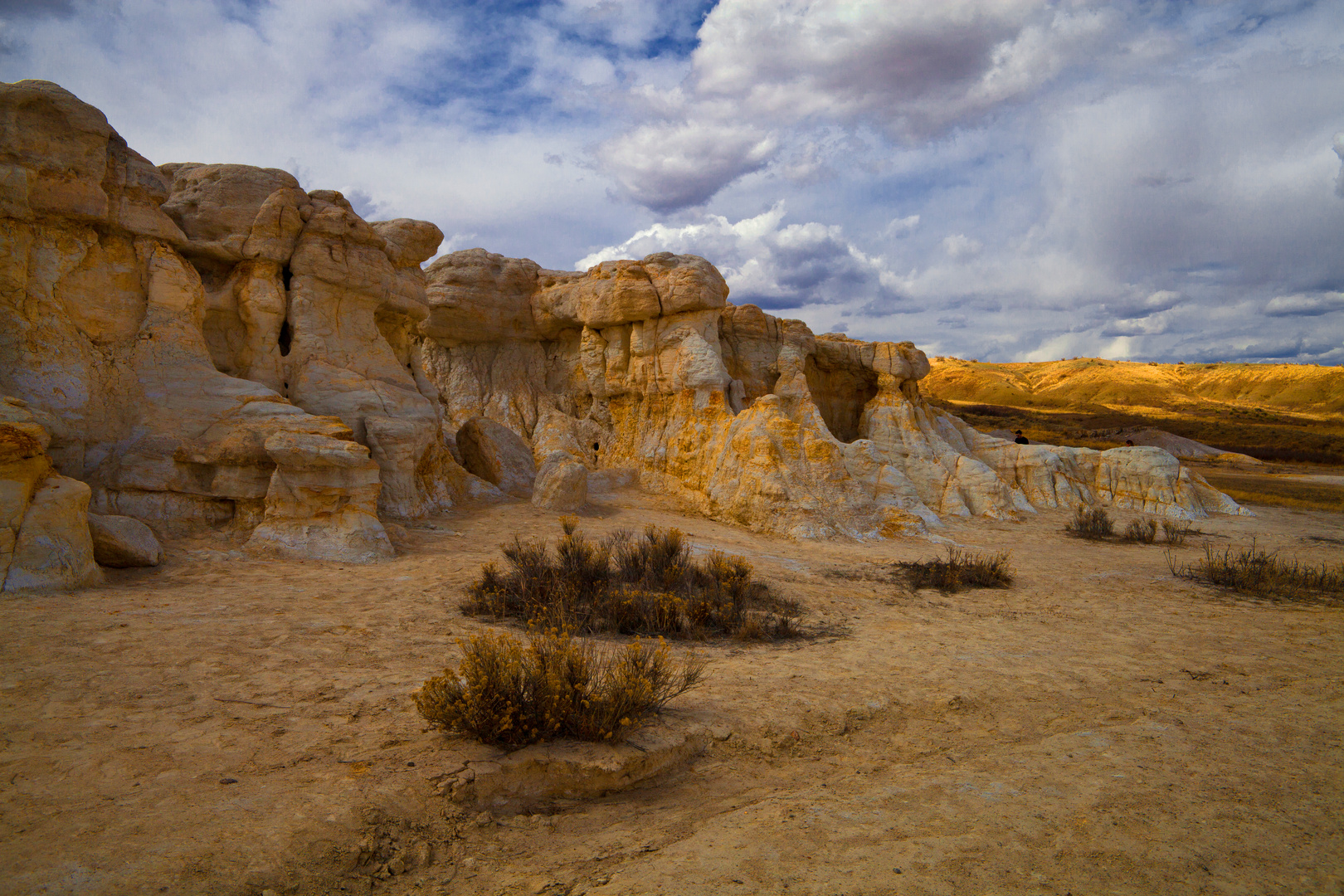 Ancient Shoreline