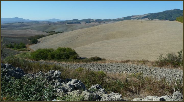 Ancora campagna toscana 2 -
