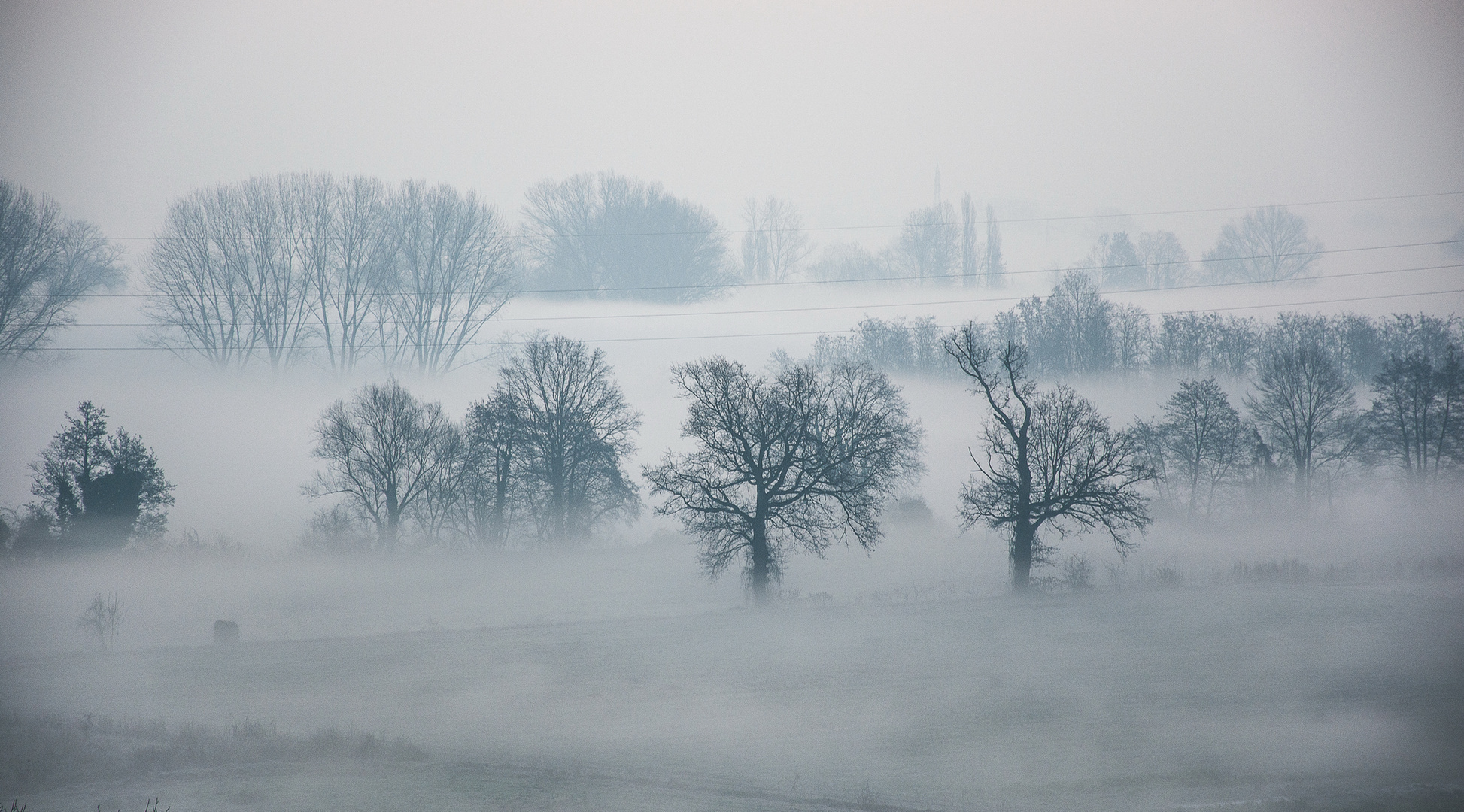 Ancora nebbia