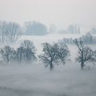 Ancora nebbia