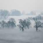 Ancora nebbia