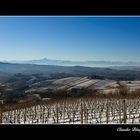 Ancora nelle Langhe....