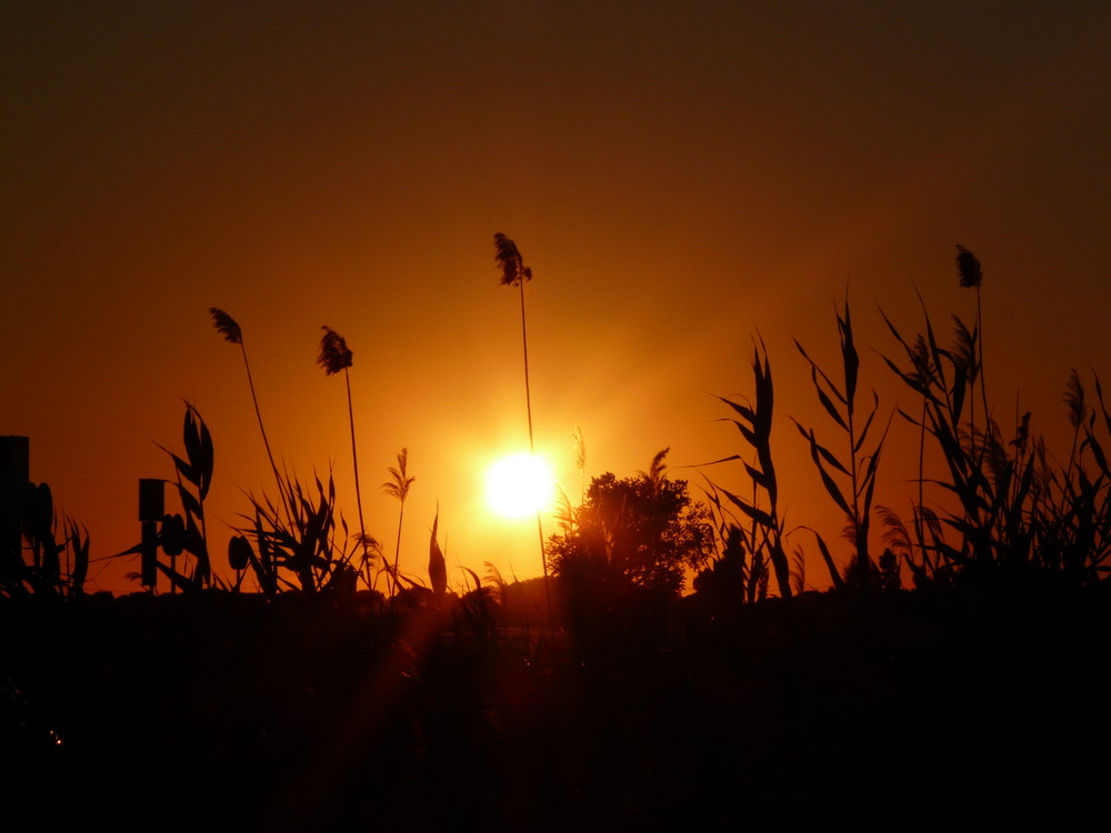 Ancora un..tramonto..