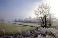 ... and a happy new year