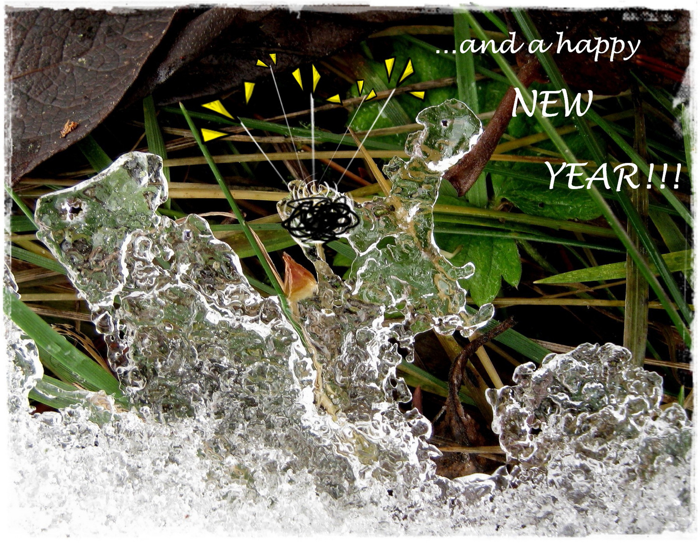 ...and a happy New Year!!!