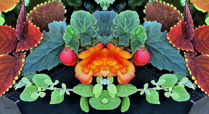 and now for Something Completely Different