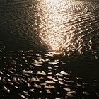 and still the light in Bray Dunes