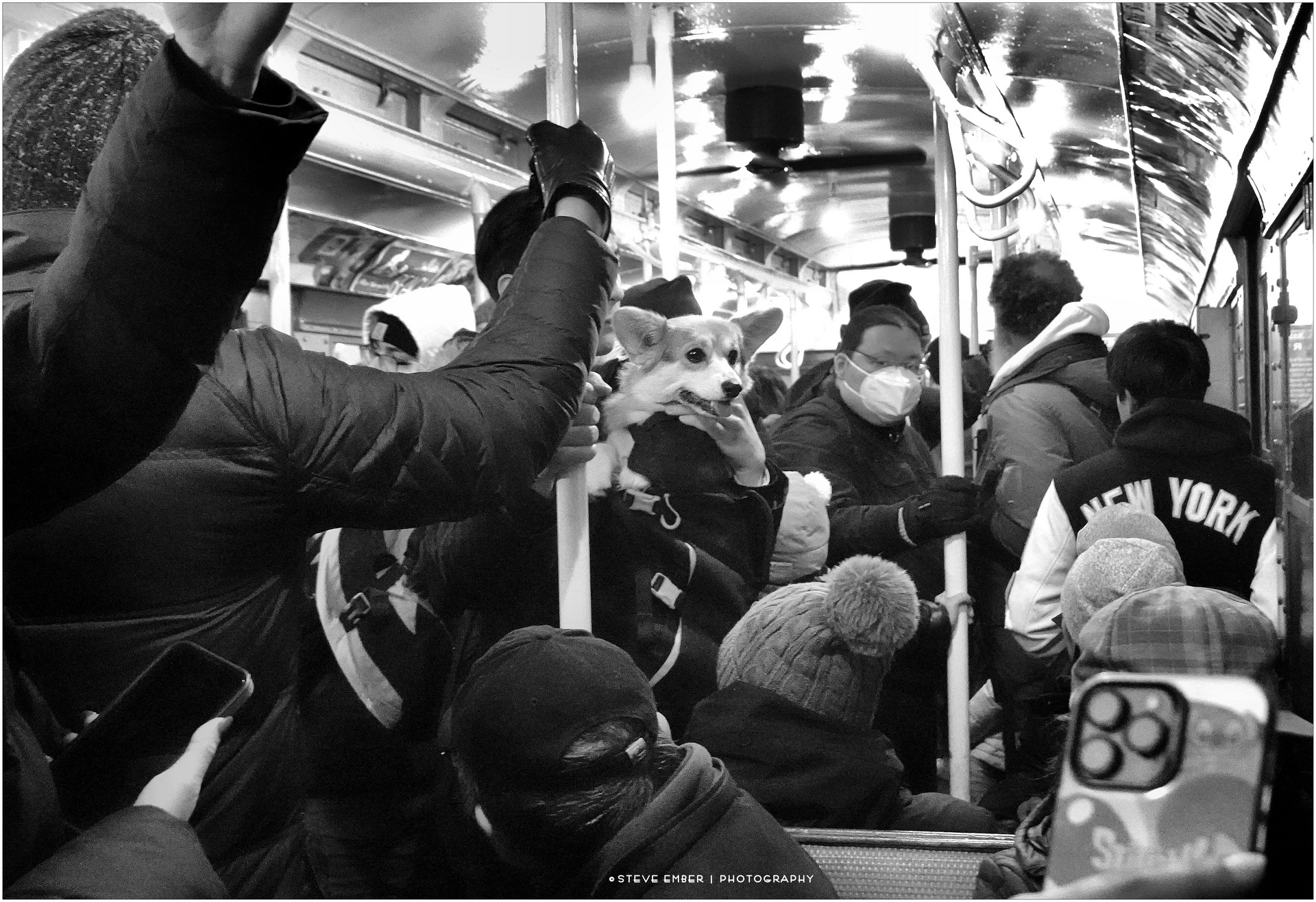 ...and there was 'Growler - The Time-Travel Doggie' - A Holiday Nostalgia Train Moment