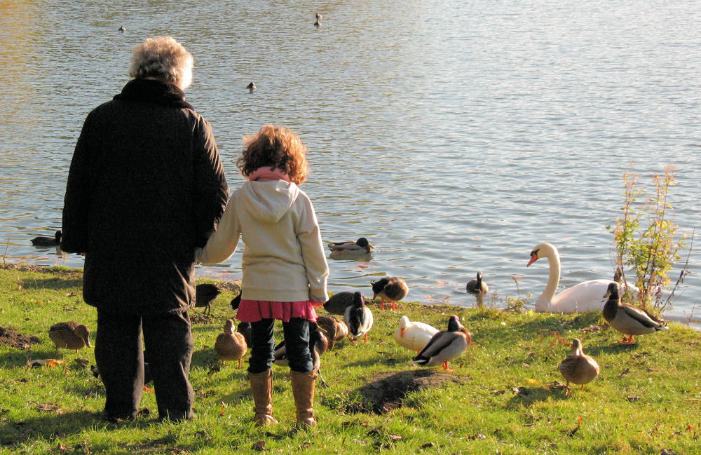 Andächtige Vogelschau von Oma und Enkel