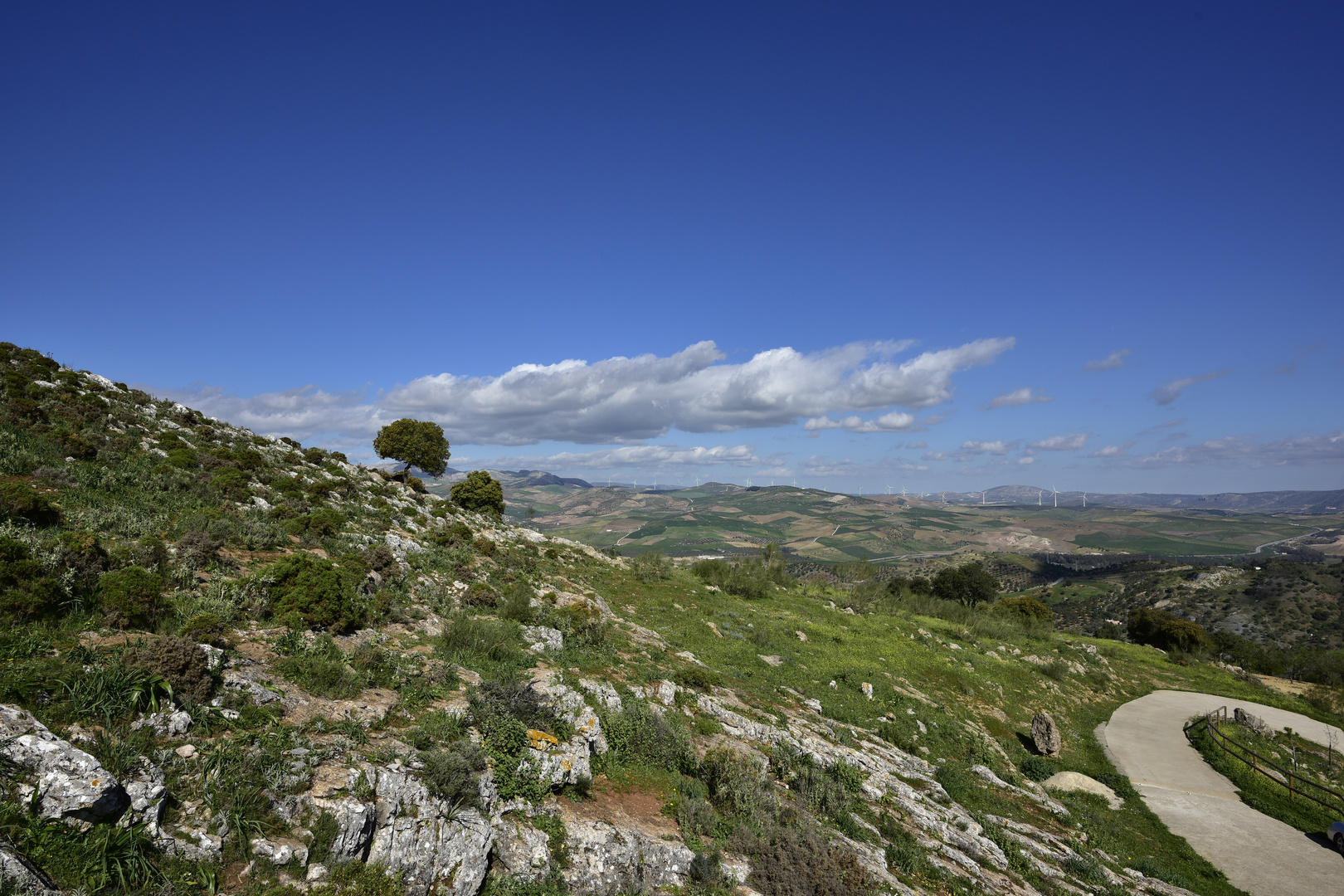 Andalucia 