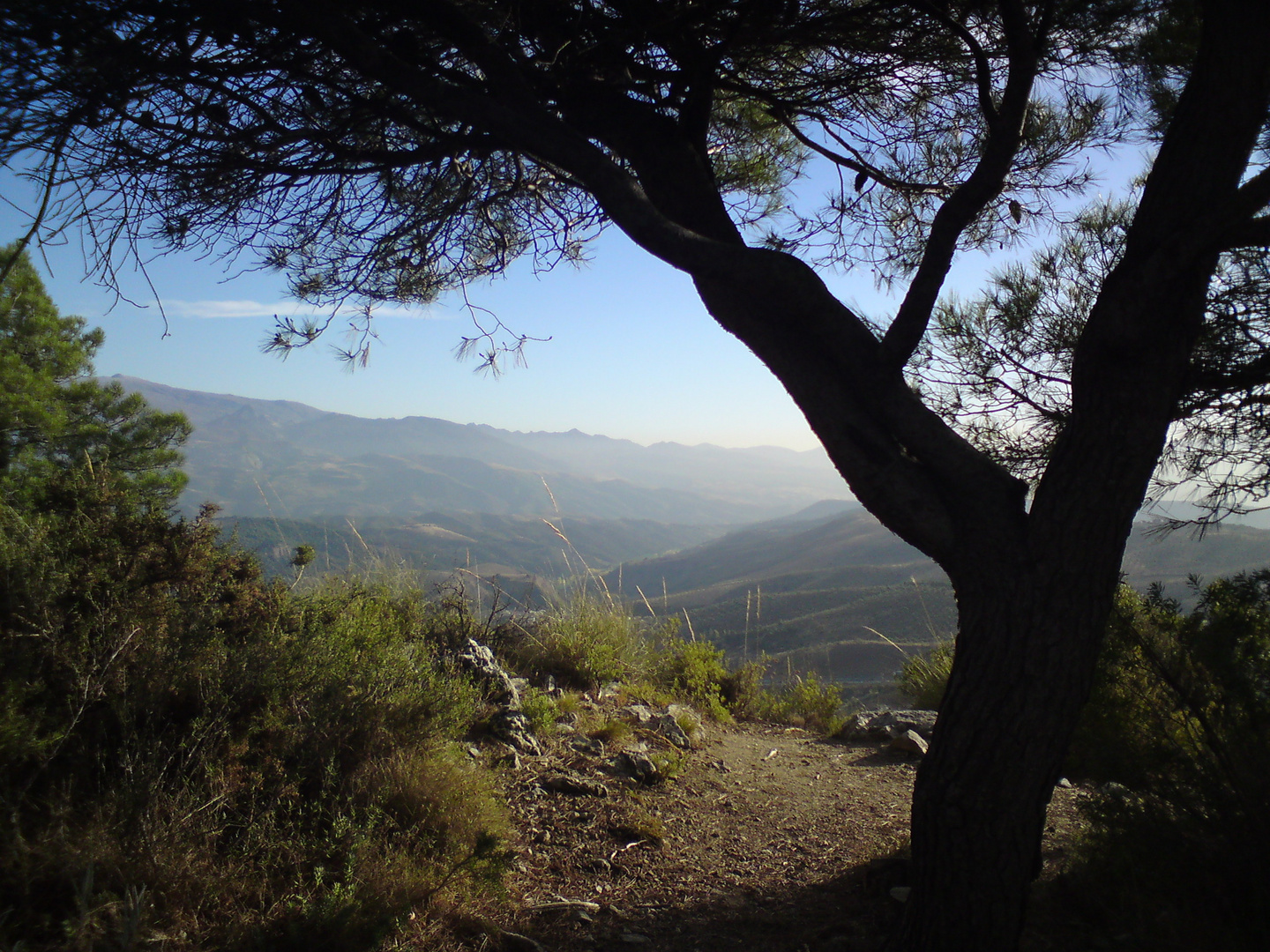 Andalucia