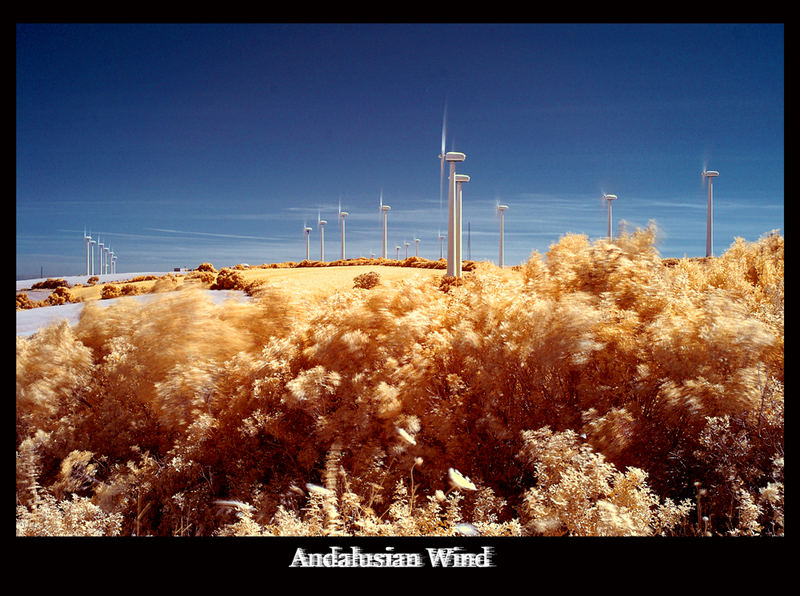 Andalusian Wind