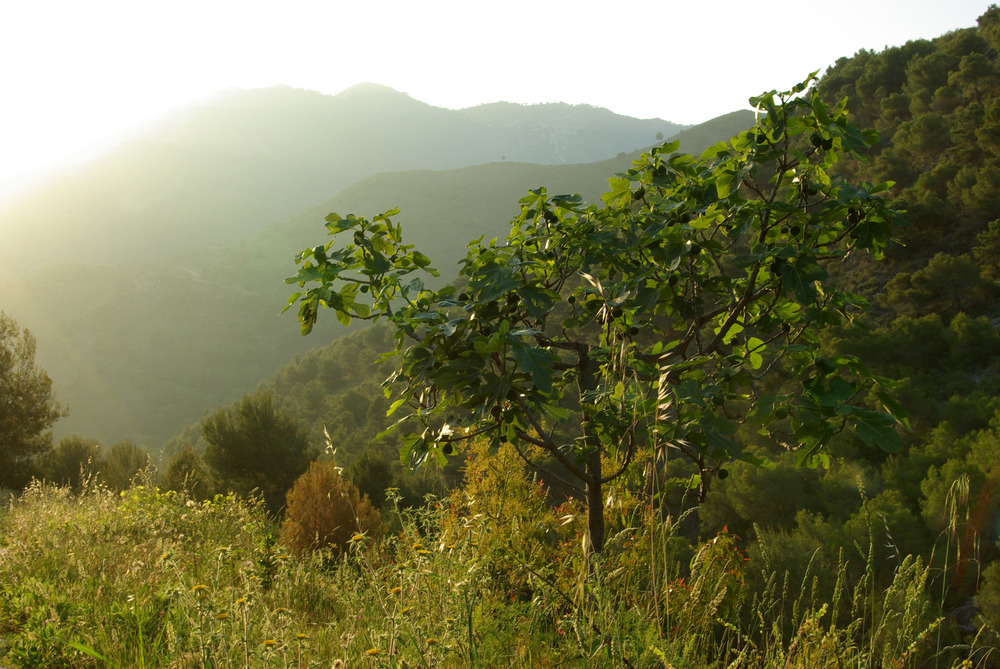 Andalusien, Abendstimmung