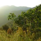 Andalusien, Abendstimmung