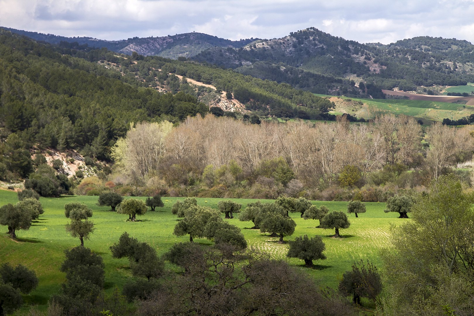 Andalusien abseits von Touristenpfaden 1