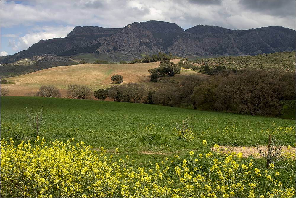 Andalusien abseits von Touristenpfaden 2