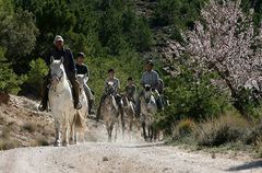 Andalusien auf Knabstruppern