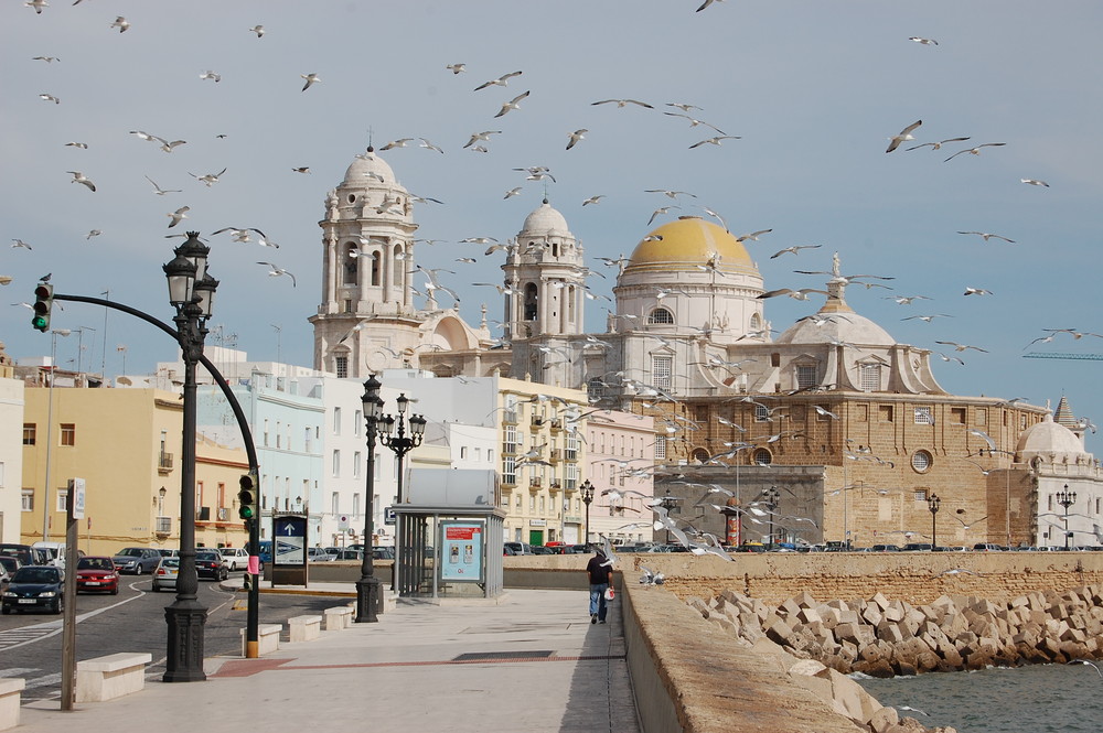 Andalusien - Cadiz - Kathedrale - Grünes Licht ...