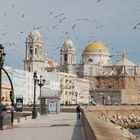 Andalusien - Cadiz - Kathedrale - Grünes Licht ...