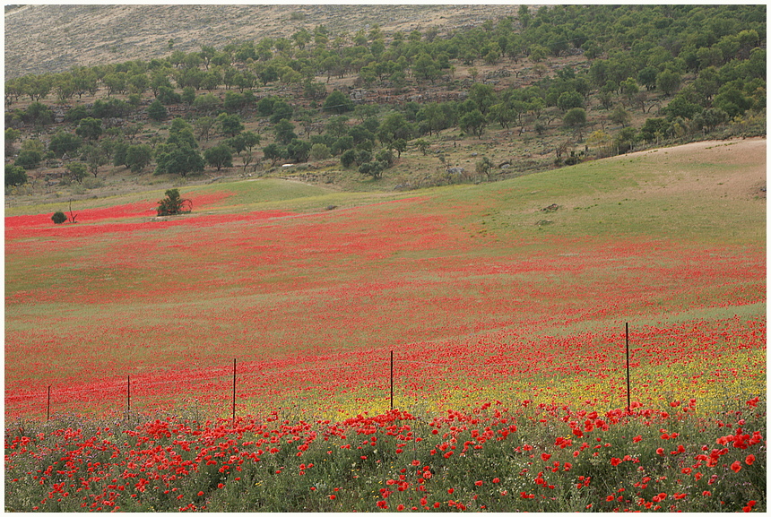 ANDALUSIEN II