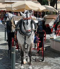 Andalusien Impressionen_11